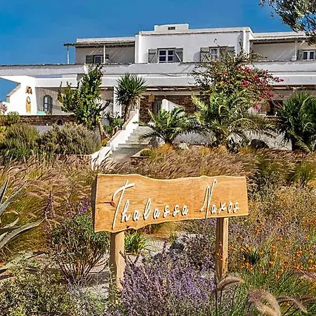 Hotel Thalassa Naxos 4*